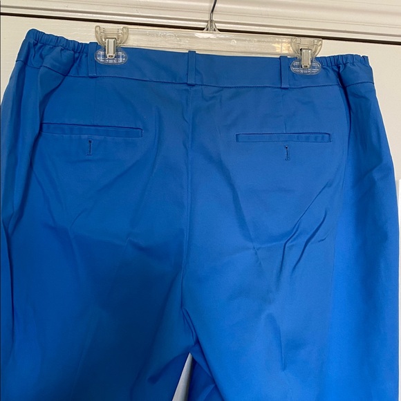 Talbots woman’s sky Blue cropped Pants sz 16w CURVY - Picture 4 of 10